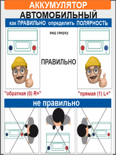 Аккумулятор Зверь Asia EFB 95 п.п. стартовый ток 950 EN ZVEFBA 95-3-L